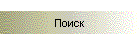 Поиск