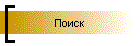 Поиск